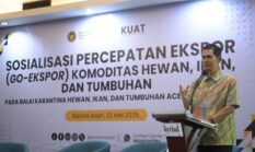 Dukung Percepatan Komoditas Unggulan, Pemerintah Aceh Siapkan Pendampingan bagi Pelaku Usaha