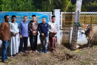 Kepala Kantor Kementerian Agama Kota Banda Aceh H.Salman S.Pd, M.Ag  di dampingi oleh Kasubbag TU Kusnadi dan Jajarannya mengabadikan dengan foto bersama sebelum melakukan penyembelihan hewan qurban