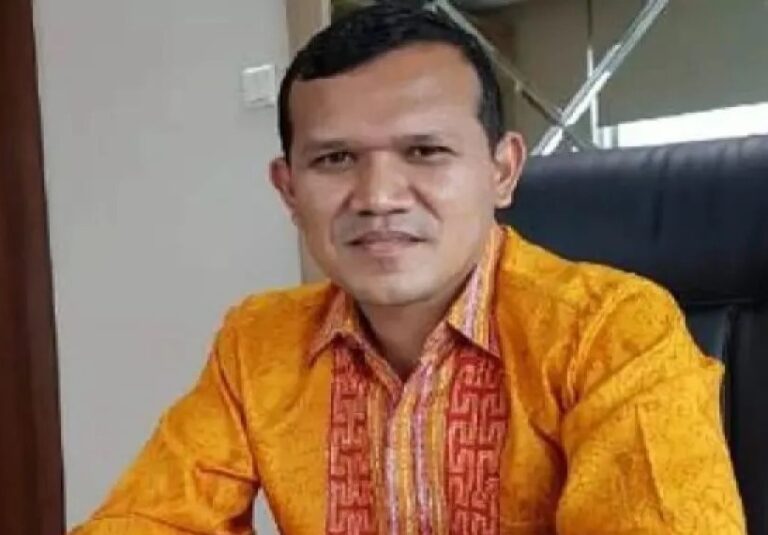 Wakil Gubernur Aceh H.Fadhlullah, SE (Foto:Dok Ist)